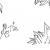 Dyslexie image honnons